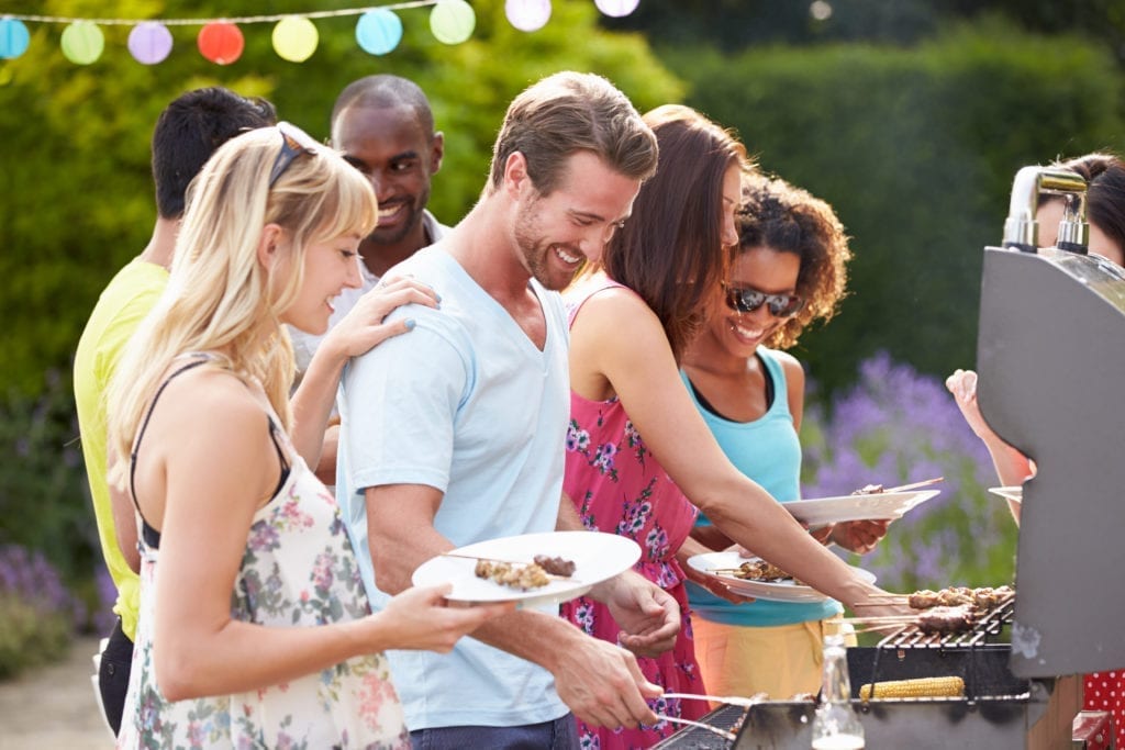 Protect your BBQ from Mosquitoes