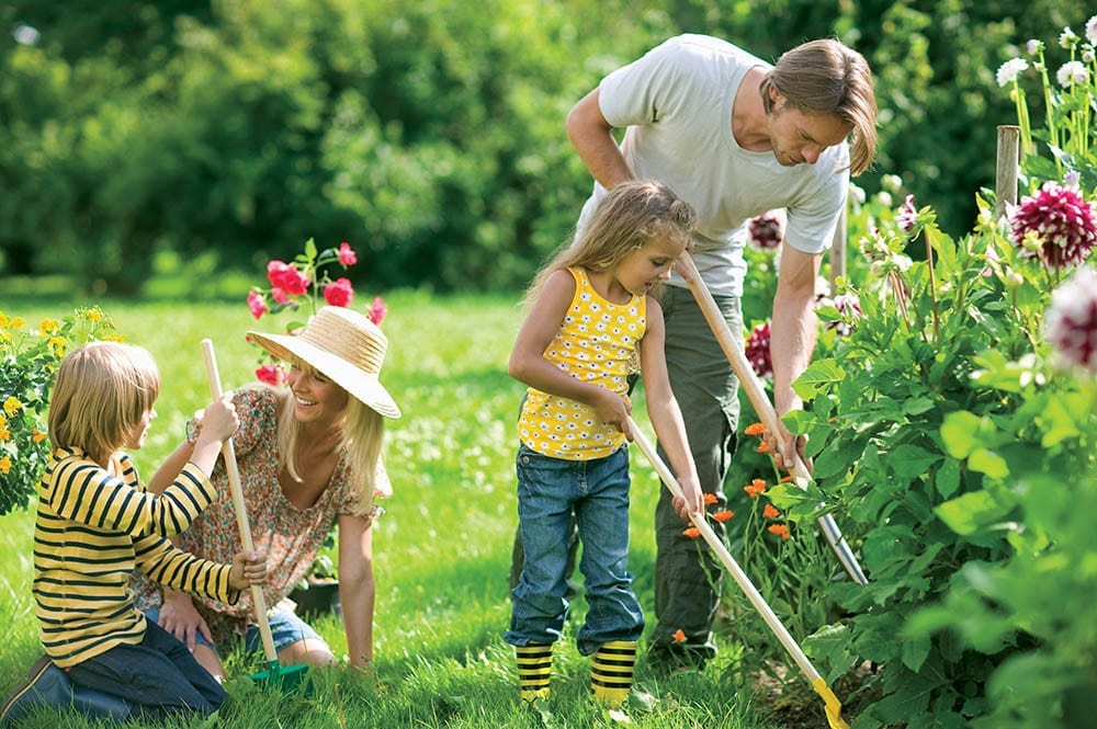 Spring Pest Control in Phoenix