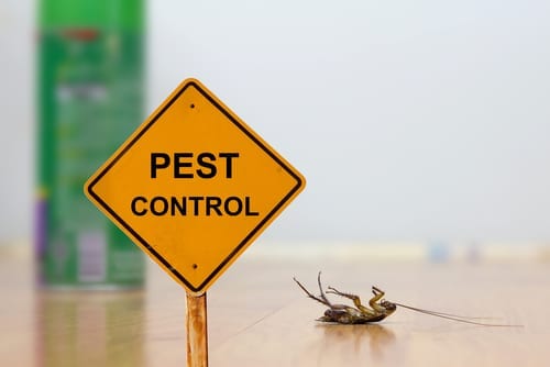 Trilogy 85298 Pest Control