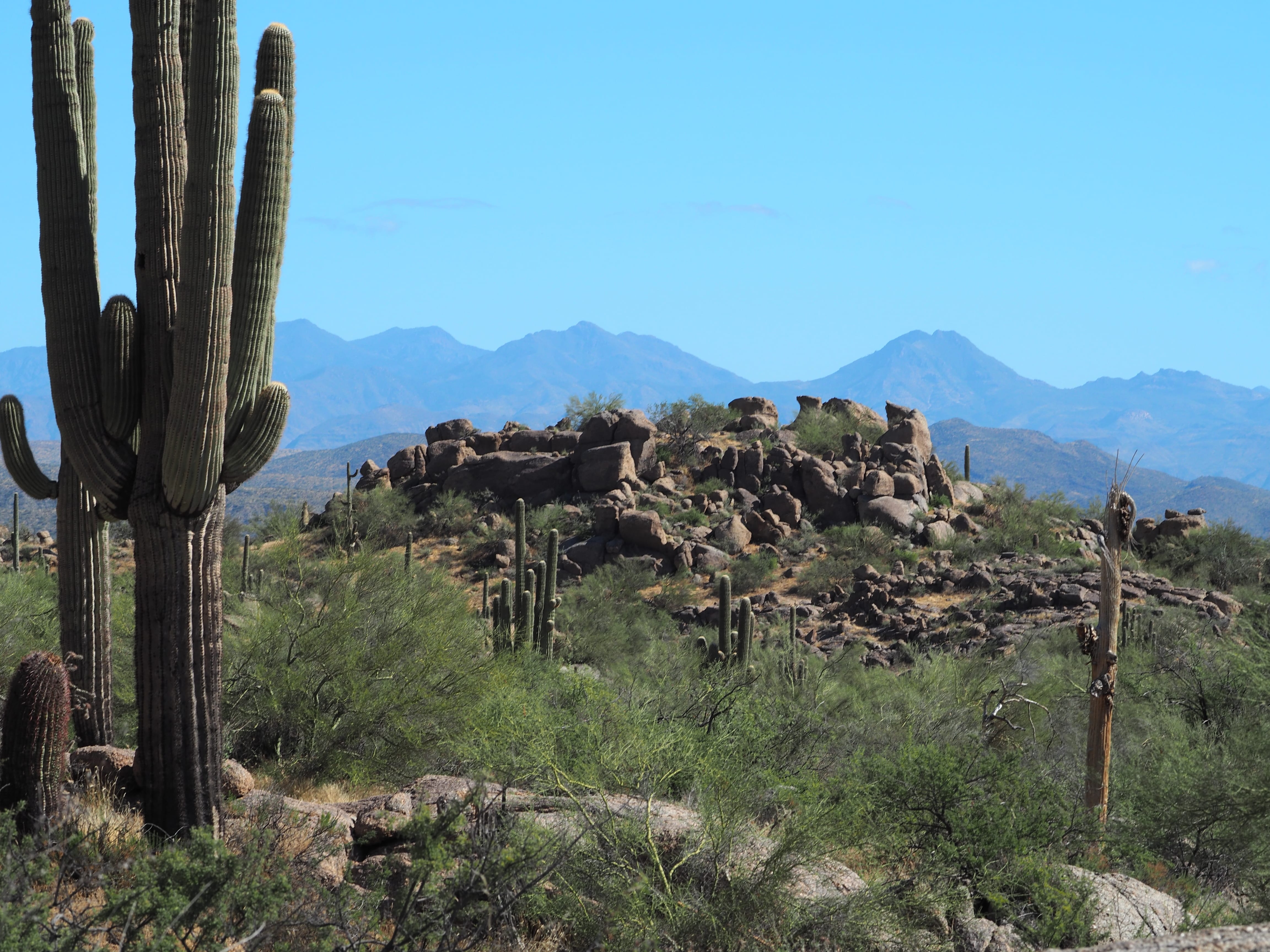 Granite Mountain 85262 Pest Control Granite Mountain 85262 Pest Control