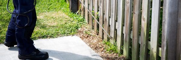 Bug Guardian Pest Prevention